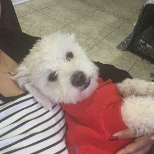 Meet your Posher, Jenny lee